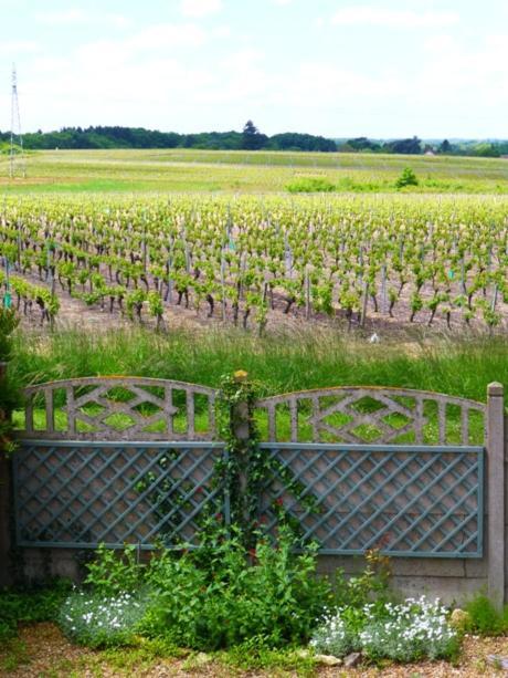 Domaine De La Chapelle - Ch D'Hote Faverolles-sur-Cher Exterior foto